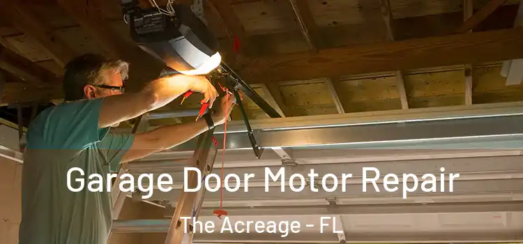  Garage Door Motor Repair The Acreage - FL
