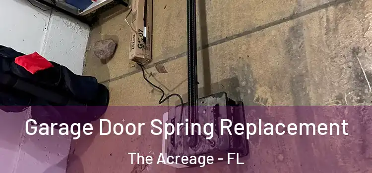  Garage Door Spring Replacement The Acreage - FL