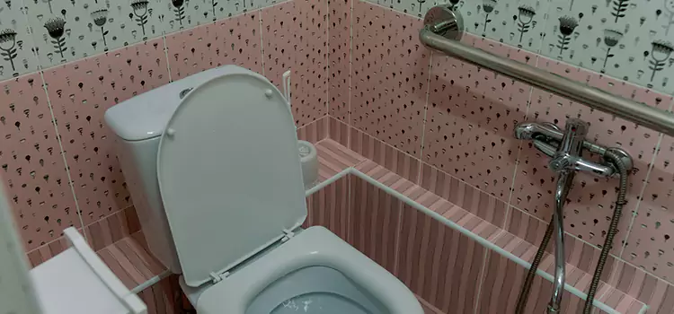 Meeting Diverse Needs With Accessible Restroom Solutions in The Acreage, FL