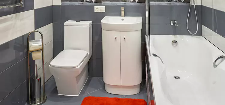 Hansgrohe Shaving Mirror The Acreage